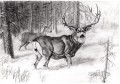 鹿の鉛筆画白黒